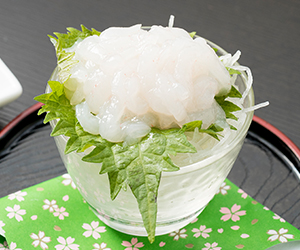 白えび
